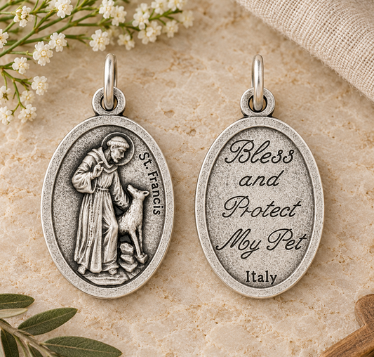 St Francis medal 